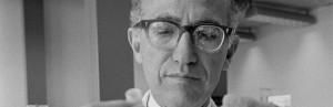 Salk
